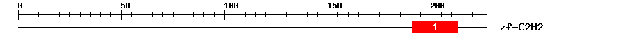 Signature Domain