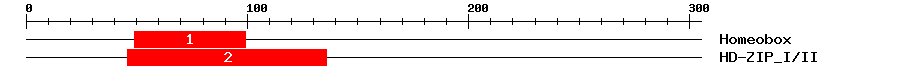 Signature Domain