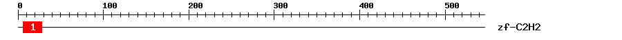 Signature Domain