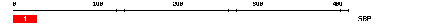 Signature Domain