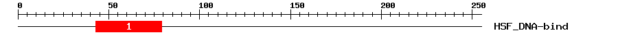 Signature Domain