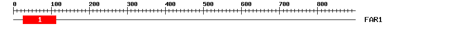 Signature Domain