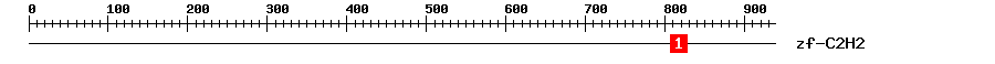 Signature Domain