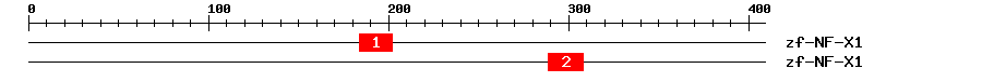 Signature Domain
