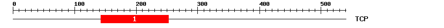 Signature Domain