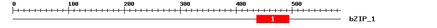 Signature Domain