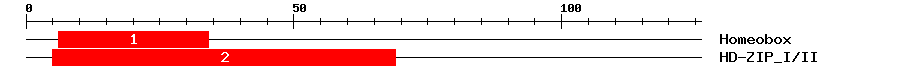 Signature Domain