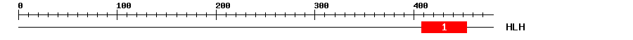 Signature Domain
