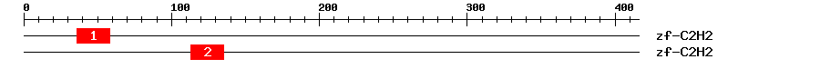 Signature Domain