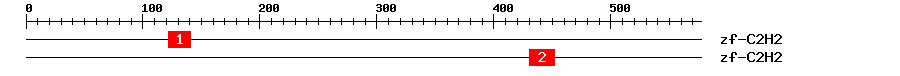 Signature Domain