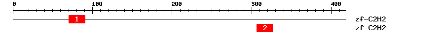 Signature Domain