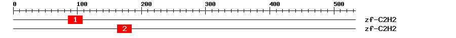 Signature Domain