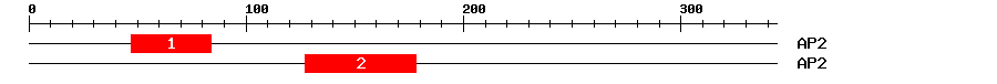 Signature Domain