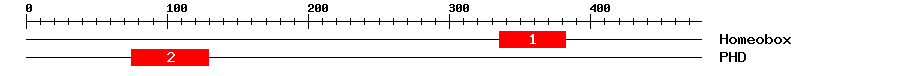 Signature Domain