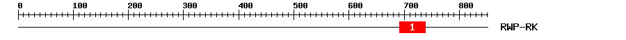 Signature Domain