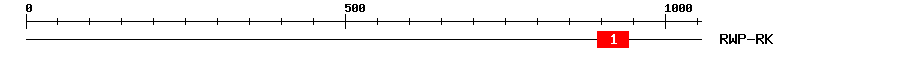 Signature Domain