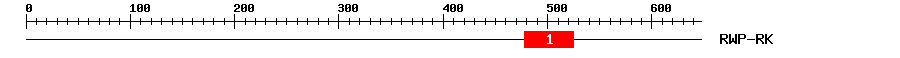 Signature Domain