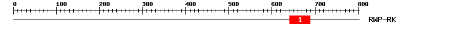 Signature Domain
