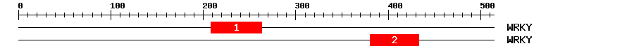 Signature Domain