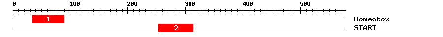 Signature Domain