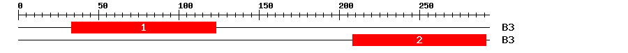 Signature Domain