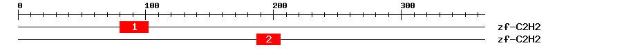 Signature Domain
