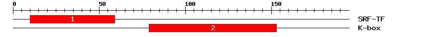Signature Domain