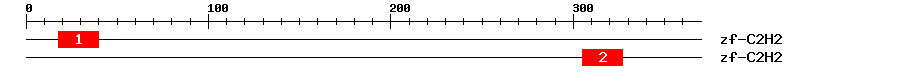 Signature Domain