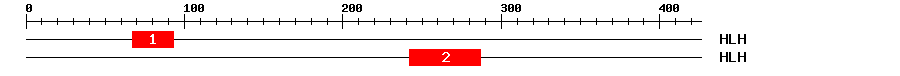 Signature Domain