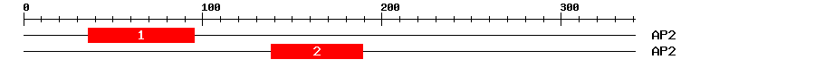 Signature Domain
