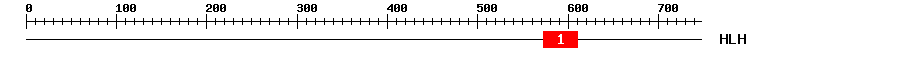 Signature Domain