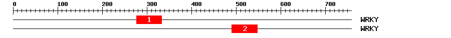 Signature Domain