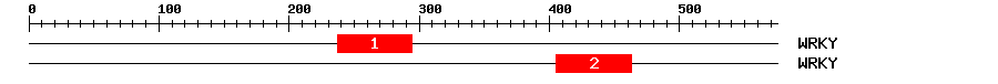 Signature Domain