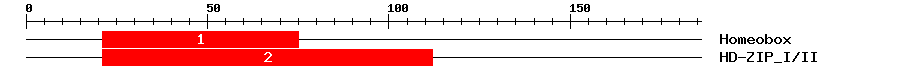 Signature Domain