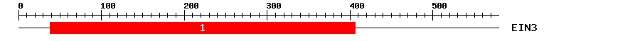 Signature Domain