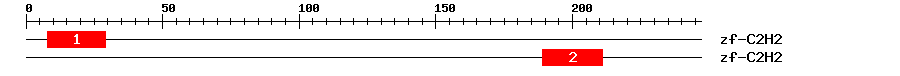Signature Domain