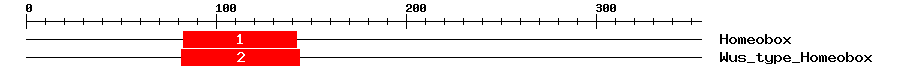 Signature Domain