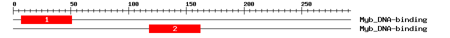 Signature Domain
