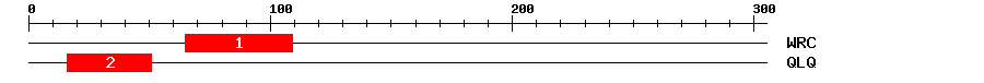 Signature Domain