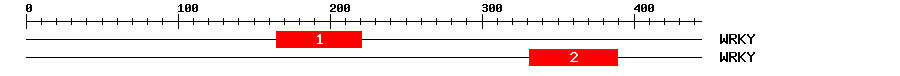 Signature Domain