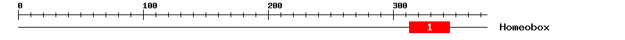 Signature Domain