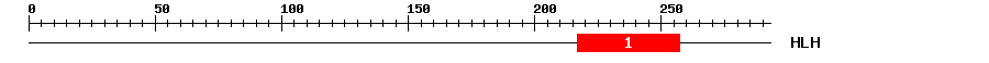 Signature Domain