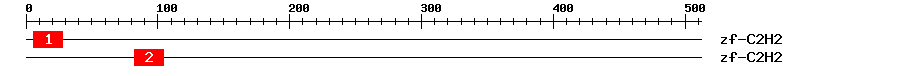 Signature Domain