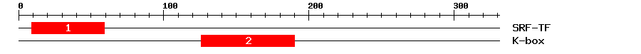 Signature Domain