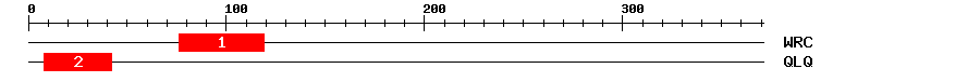 Signature Domain