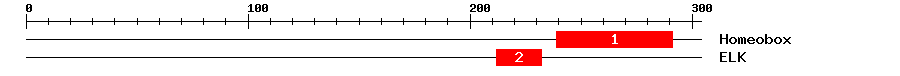 Signature Domain