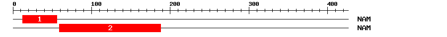 Signature Domain