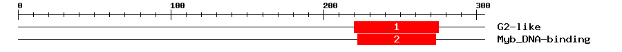 Signature Domain