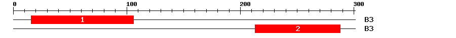 Signature Domain