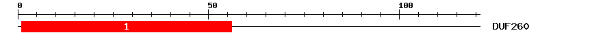 Signature Domain